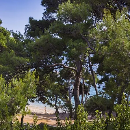 Hotel Eva Sunny & By Valamar 2*